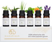 Gift Box Etherische Olie incl. E-book Aromatherapie – Geurolie voor Aroma Diffuser – Essentiële Olie Set – 6 stuks - Valentijn Cadeautje