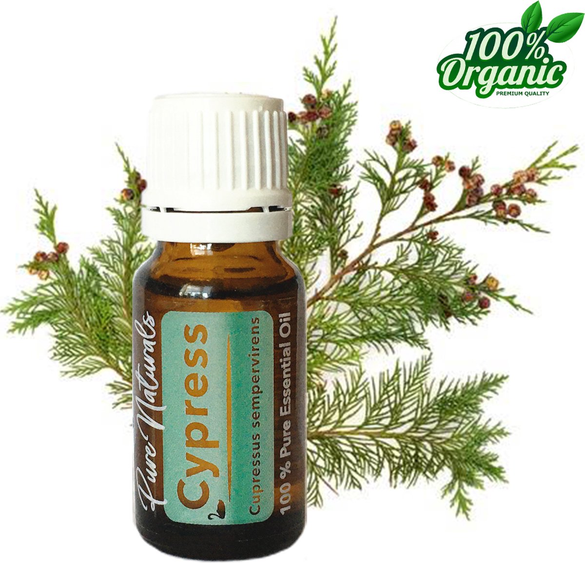 Goedkoopste Cipres etherische Olie 10 ml | Cypress Oil | 100 PUUR | Bio | Essentiële olie Aromatherapie | Olie diffuser | Geschikt voor inname | Pure Naturals