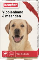 Beaphar Diagnos Vlooienband Hond Rood 6 Mnd