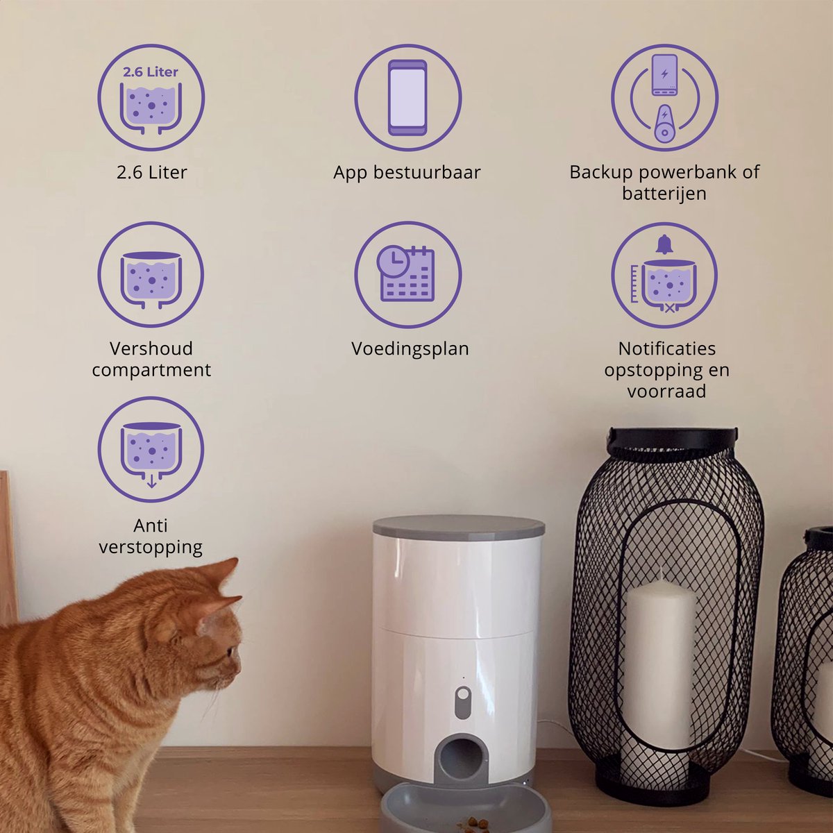 Afbeelding 3 van Pettadore Nutri Fresh 2 - Automatische Voerbak Kat/Hond - Voerautomaat - Smart en Vershoudend - 2.6L