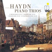 Vienna Piano Trio - Piano Trios (CD)