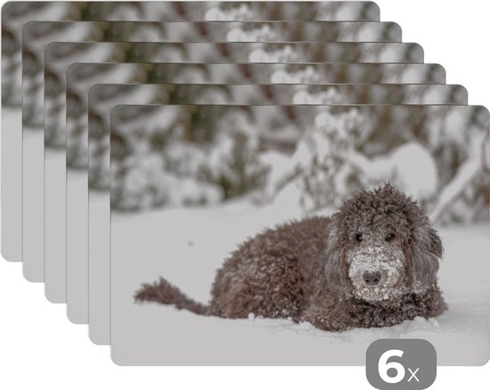 Placemat - Bruine labradoodle hond liggend in de witte sneeuw - 45x30 cm - 6 stuks