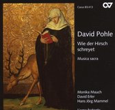 Monika Mauch, David Erler, Hans Jörg Mammel, L'Arpa Festante - Pohle: Wie Der Hirsch Schreyet - Musica Sacra (CD)