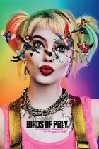 [Merchandise] Hole in the Wall Birds of Prey Maxi Poster
