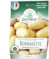 Franse pootaardappel Bernadette - 25 stuks - culinaire keuze - zeer grote opbrengst