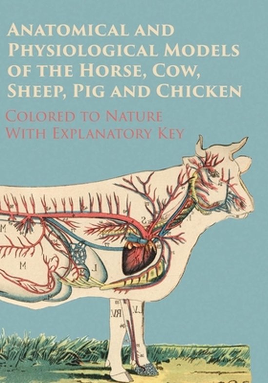 Couverture de livre avec un dessin anatomique d'une vache, avec le texte 'Anatomical and Physiological Models of the Horse, Cow, Sheep, Pig and Chicken - Colored to Nature With Explanatory Key'.