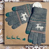 Winter handschoenen LAPLAND van BellaBelga voor jongeren, dames en heren - grijs