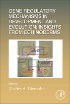 Gene Regulatory Mechanisms in Development and Evolution: Insights from Echinoderms
