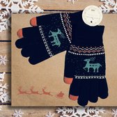 Winter handschoenen LAPLAND van BellaBelga voor jongeren, dames en heren - zwart