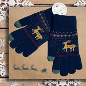 Winter handschoenen LAPLAND van BellaBelga voor jongeren, dames en heren - blauw