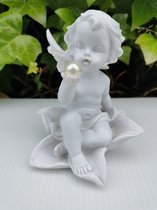 Prachtige Cherubijn zittend op bloem met parel in de hand - Engel 12cm Hoog