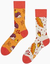 Dedoles Eco Sokken Good Mood - Herfst Egel - Recycled Cotton Socks - Mismatched - Unisex Maat 35-38