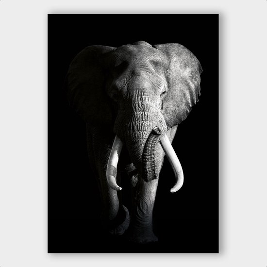 Poster Dark Elephant ³ - Dibond - Meerdere Afmetingen & Prijzen | Wanddecoratie - Interieur - Art - Wonen - Schilderij - Kunst