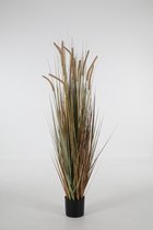 kunstplant - Kamgras - Cynosurys cistatus - topkwaliteit plant - kamerplant - Groen/bruin - 150 cm hoog