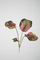 Kunstplant - Calathea - hedera- topkwaliteit decoratie - 2 stuks - kamerplant - groen/roze - 55 cm hoog