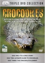 Crocodiles [DVD] ,