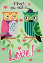 Owl you need is… LOVE! Een liefdevolle en sfeervolle wenskaart met twee grappige uilen en hartjes er omheen. Een dubbele wenskaart inclusief envelop en in folie verpakt.