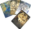 Afbeelding van het spelletje Tarot kaarten - Spirit of the Animals Oracle