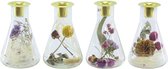 Natural Collections - Kaarshouder glas met droogbloemen - 15 cm hoog - 2 stuks