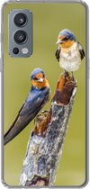 Coque OnePlus Nord 2 5G - Vogels - Branche - Portrait - Siliconen