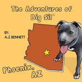 Adventures of Big Sil-The Adventures of Big Sil Phoenix, AZ