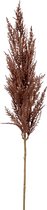 Plantenwinkel Grass Pampas Brown M 92 cm kunsttak per 1 stuks