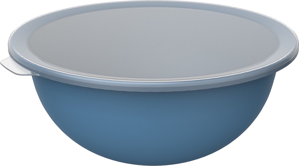 Rotho Schaal met Deksel 4.8L Horizon Blauw