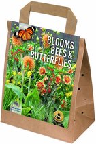 Blooms, bees and butterflies - oranje - zalmkleurige bloemen - zomerbollen