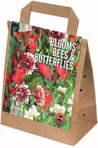 Zomerbloeiers pakket - Blooms, bees and butterflies - rood - wit -geschikt voor borders en potten