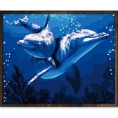 Eagle® Diamond Painting Volwassenen - Dolfijnen - 50x40cm - Vierkante Steentjes