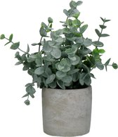 Pomax - Kunstbloem / kunstplant / artificiële plant in pot - Groen / grijs / wit - ø 16 x 19 cm hoog.