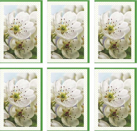 MGPcards - 6x dubbele wenskaart met envelop - Blanco - Bloemen - 11,5 x 17 cm