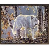Eagle® Diamond Painting Volwassenen - Wolf in Bos - 50x40cm - Ronde Steentjes