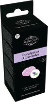 Scentchips® Prepacked Eucalyptus & Lavender (10pcs)