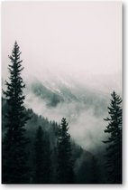 Hoge bomen in het bos in de bergen bedekt met de mist - 60x90 Poster Staand - Besteposter - Landschap