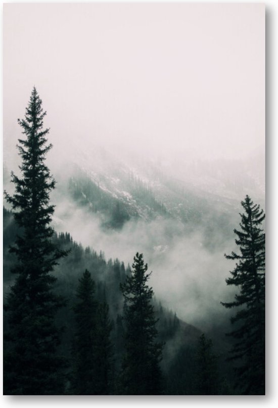 Hoge bomen in het bos in de bergen bedekt met de mist - 60x90 Dibond voor Binnen én Buiten - Besteposter - Landschap