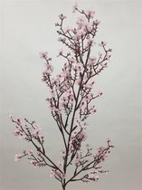 1x Pink Cherry Blossom 80cm - bloesemtak roze 80cm
