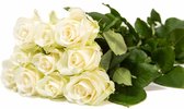 Avalanche+ - Witte Rozen - Bos 50 rozen - 70 cm lang - Verse rozen rechtstreeks van de kweker