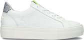Floris Van Bommel Sfw-10059 Lage sneakers - Leren Sneaker - Dames - Wit - Maat 39