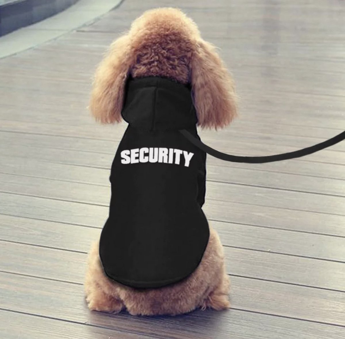 Honden Hoodie Security - Hondenjas - < 1 kg Hond - Hondenkleding - Truien -  Hondentrui... | bol.com