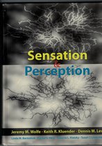 Sensation and perception; uitgebreide, volledige samenvatting (tweede tentamen)