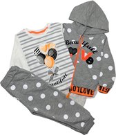 Baby kledingset 3 delig Joggingbroek, hoodie en t-shirt lange mouw. Beautiful