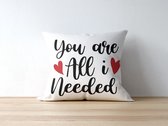 Valentijn Kussen met tekst: You are all I Needed | Valentijn cadeau | Valentijn decoratie | Grappige Cadeaus | Geschenk | Sierkussen