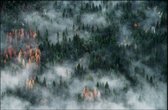 Walljar - Misty Green Forest - Muurdecoratie - Canvas schilderij