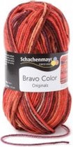 Schachenmayr Bravo Color Nr 02097