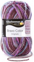 Schachenmayr Bravo Color Nr 02096