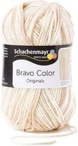 Schachenmayr Bravo Color Nr 00103