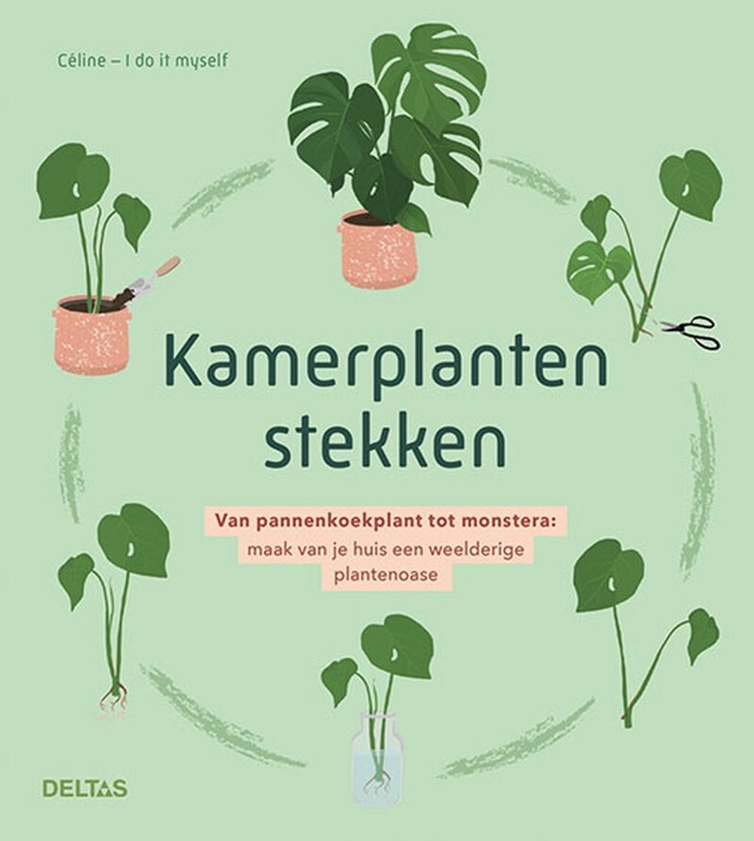 Botanist Aannames, aannames. Raad eens Oorzaak Kamerplanten stekken, Celine | 9789044761344 | Boeken | bol.com