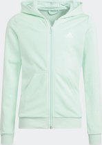 Adidas Logo Full Zip Hoodie Girls Kids - kleur groen - maat 128
