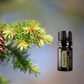 doTERRA Douglas Fir  (Douglasspar) | 5ml | Etherische Olie